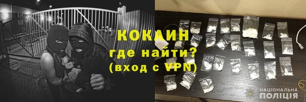 прущие грибы Верхний Тагил