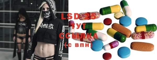 прущие грибы Верхний Тагил