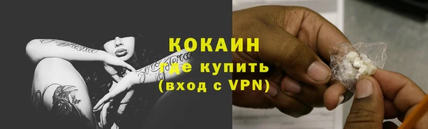 прущие грибы Верхний Тагил