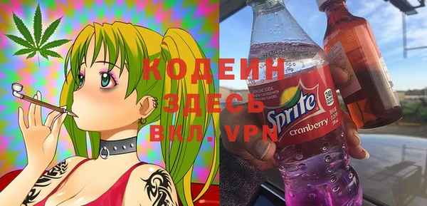 прущие грибы Верхний Тагил