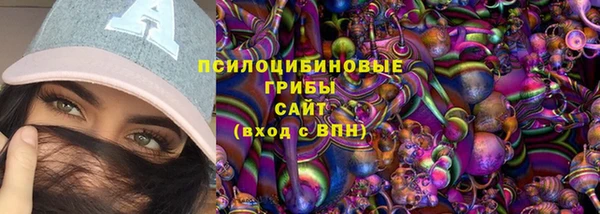 первитин Анива