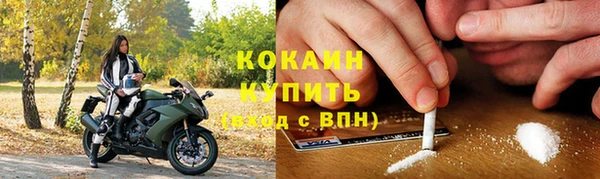 прущие грибы Верхний Тагил