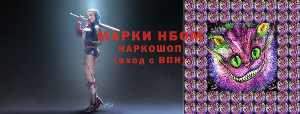 прущие грибы Верхний Тагил