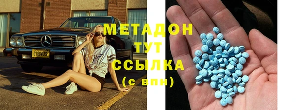 прущие грибы Верхний Тагил