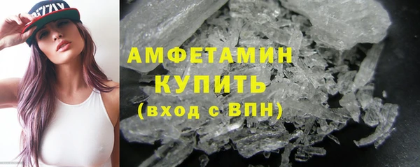 прущие грибы Верхний Тагил