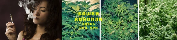 прущие грибы Верхний Тагил