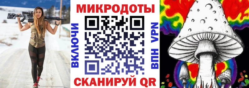 Псилоцибиновые грибы Cubensis  Вихоревка 